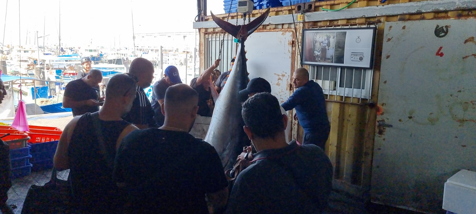 WhatsApp Image 2022-05-25 at 4.38.54 PM.jpeg